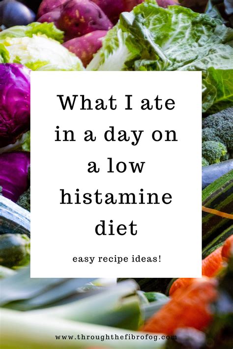 What I Ate In A Day On A Low Histamine Diet Low Histamine Recipes And