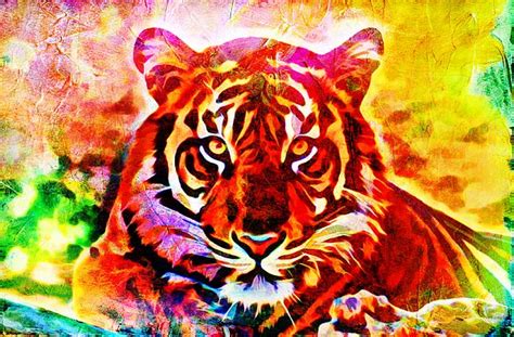 Colorful Tiger By Lilia D Cool Art Tiger Art