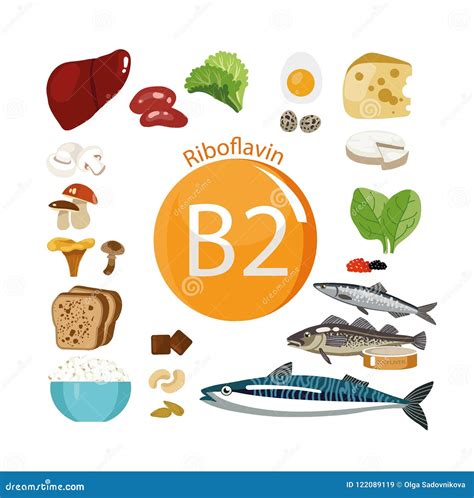 Vitamin B2 Riboflavin Molecular Chemical Formula Infographics Vector Illustration On Black