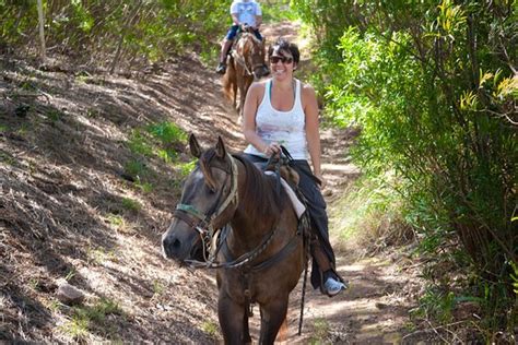 Tripadvisor Horseback Riding In Maui Countryside Provided By Ironwood