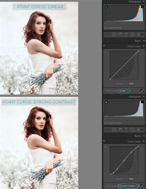 How To Use Lightrooms Tone Curve Panel Pretty Presets For Lightroom