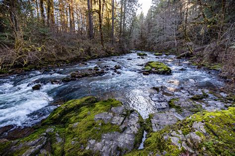 Cavitt Creek Falls Recreation Site Cavitt Creek Flows Thro Flickr