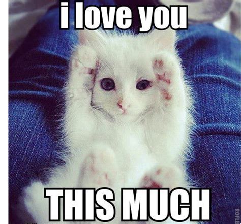 Grab Hold Of the Awesome Funny Animal Pictures that Make ... Sometime these thoughts and hops are right and sometime wrong.these memes about relationships humor explain that thoughts in an funny ways.read th…