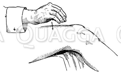 massage klopfen mit der hohlen hand quagga illustrations