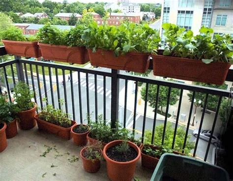 Great Balcony Garden Ideas With A DIY Balcony Guide Foter