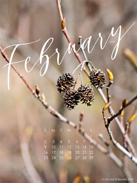 Desktop February 2020 Calendar Wallpaper Pc - 1919x2560 - Download HD Wallpaper - WallpaperTip