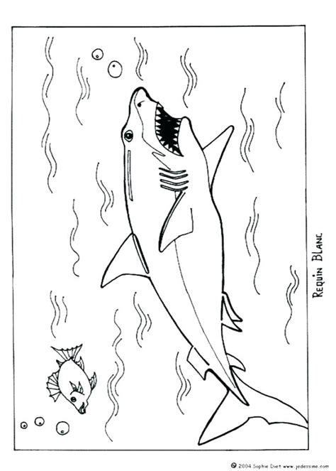 728x696 and coloring book free coloring sharkboy and lavagirl coloring. Shark Boy Coloring Pages at GetColorings.com | Free ...
