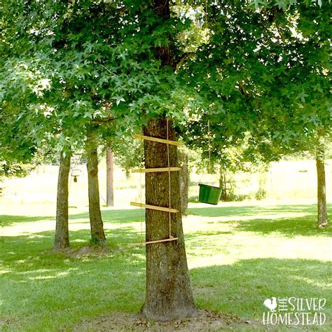 These tree ladder play equipment are durable, lightweight and portable, so. Moving and Raising Kids in the Country - Silver Homestead