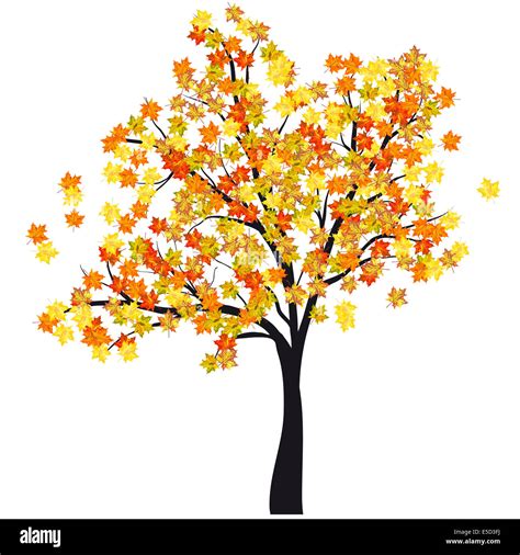 Autumn Maple Tree Eps 10 Vector Illustration Without Transparency