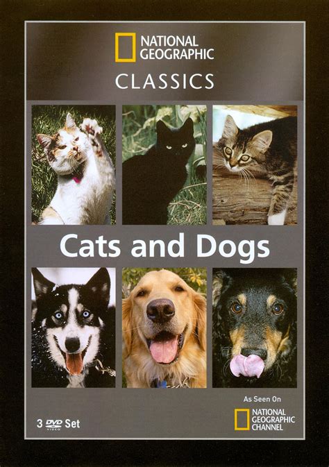 Best Buy National Geographic Classics Cats And Dogs 3 Discs Dvd