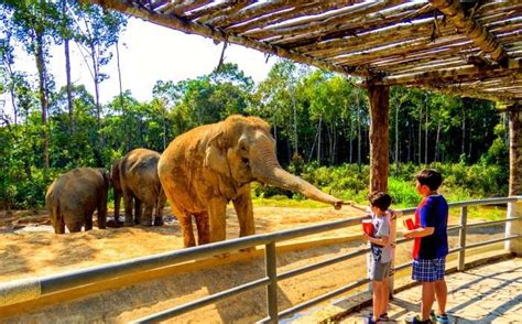 Top 10 Largest Zoos In The World That Are A Must Visit