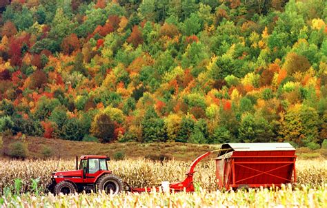 Share With Us Your Best Photos Of Fall Foliage In New England