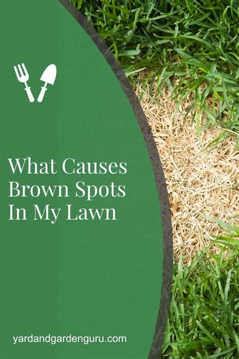 What Causes Brown Spots In My Lawn