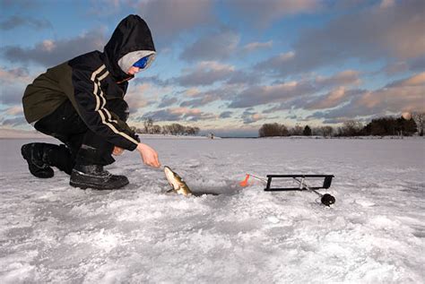 Ice Fishing Stock Photos Pictures And Royalty Free Images Istock