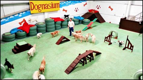 Dog gone fun in okemos, mi offers a variety of services for all dogs of all breeds and ages, including dog training, grooming, boarding and daycare facilities. Dog Daycare Play Equipment Doggie daycare arial … | Dog ...