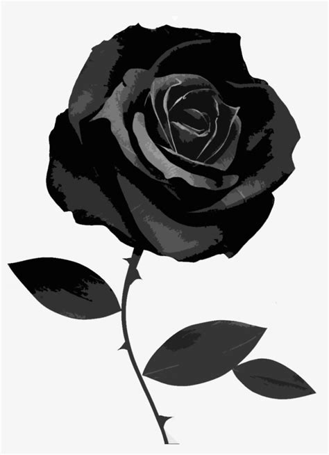 Astonishing Compilation Of 999 Full 4k Black Rose Pictures