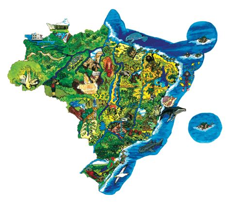 Sistema De InformaÇÃo Sobre Biodiversidade Brasileira Sibbr Igui Ecologia