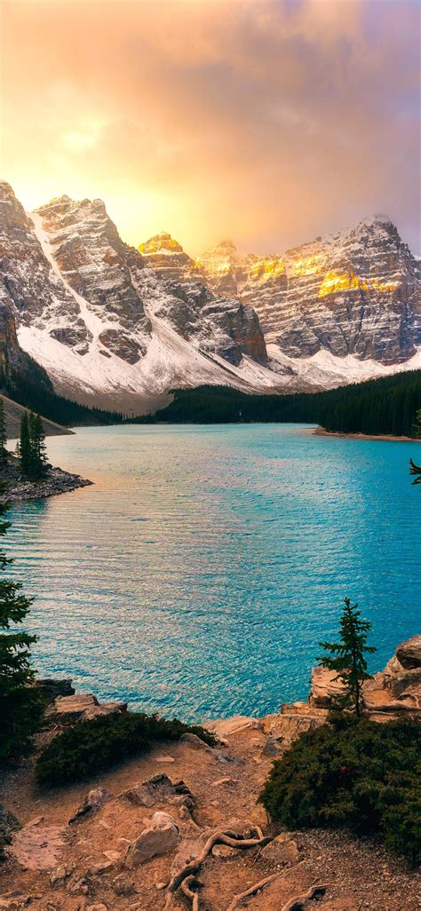Download Wallpaper Trees Mountains Lake Ate Canada Albert Banff