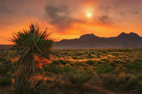 Desert Evening D Photograph By Frank Wilson Fine Art America