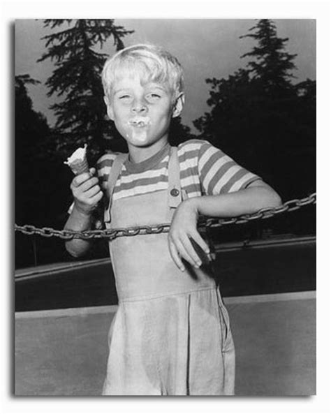 Ss2330562 Television Picture Of Dennis The Menace Buy Celebrity