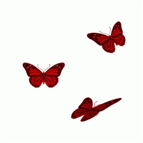 Aki Gifs Butterfly Animated Gifs Borboleta D Borboletas Imagens Gif My XXX Hot Girl