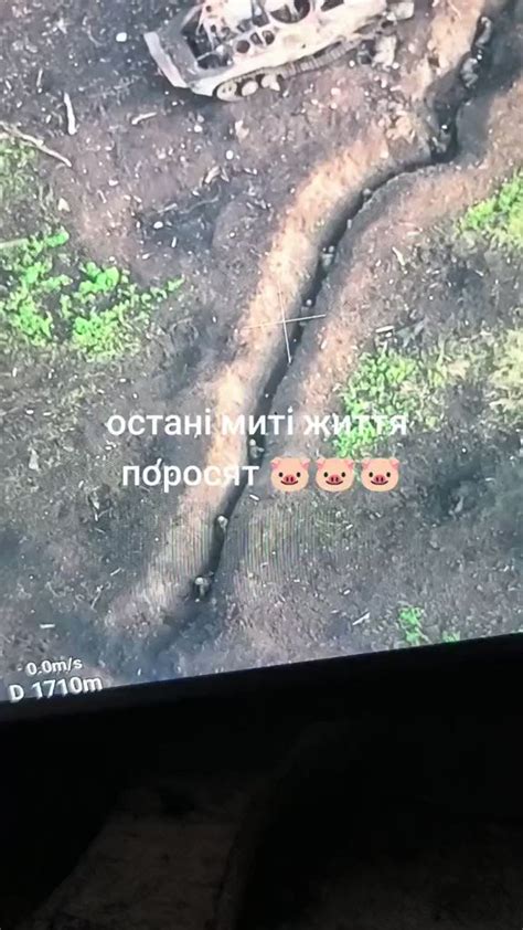 🇺🇦ukrainian Front On Twitter ⚡️a Large Group Of Liquidated 🇷🇺russian Soldiers In A Trench