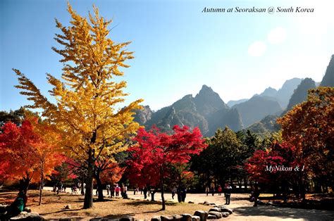 My Nikon And I Korea Seoraksan Mystical Mountains