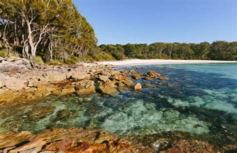 Best jervis bay b&bs on tripadvisor: North Coast walks | NSW National Parks