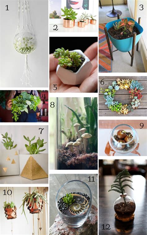 A green thumb doesn't grow you also need to pick plants according to your goals. DIY Gift Guide: For the Plant Lover - DIY in PDX