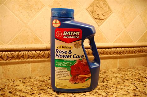 Best rose fertilizer reviews 1. Knockout Rose Trees Knock Out Squirrels