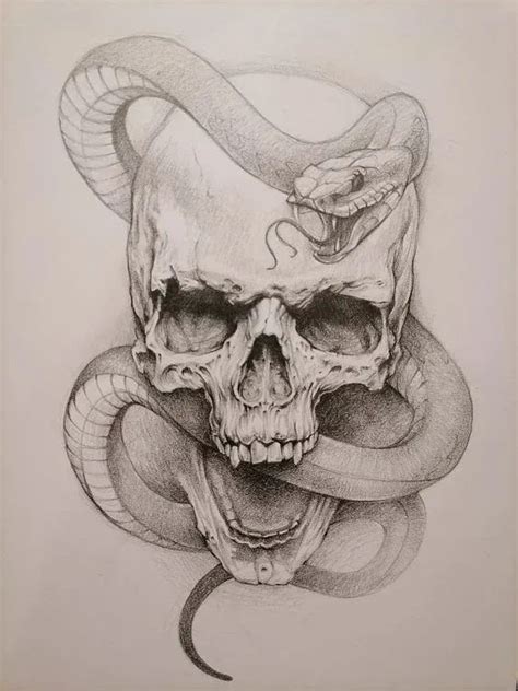 A Pencil Drawing Of A Skull With A Snake Wrapped Around Its Neck And Head
