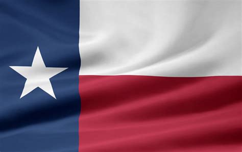 Free Download Kelvin Plemons The Texas State Flag 660x900 For Your