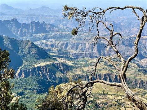 Simien Mountain Treks Gonder 2022 What To Know Before You Go