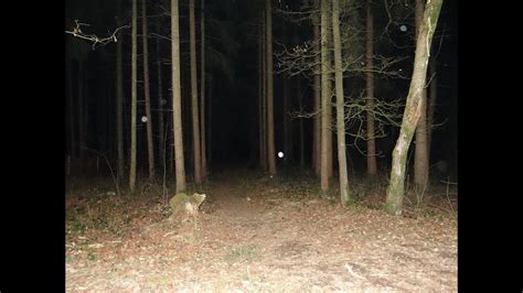 Ghost Hunting Geisterjagt In Wald Rote Augen Im Wald Ghost Eyes In