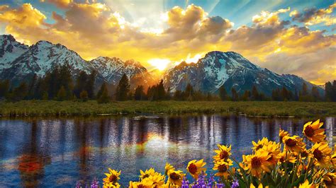 Nature Landscape Flowers Clouds Sky Mountains Sun Rays