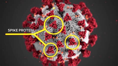 We'll ask some questions to determine when you are eligible to receive a vaccination. UW Researchers Work Toward COVID-19 Vaccine