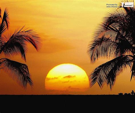 Beaches Beautiful Palm Trees Sunrise Sunset Tropical Sunset Beach