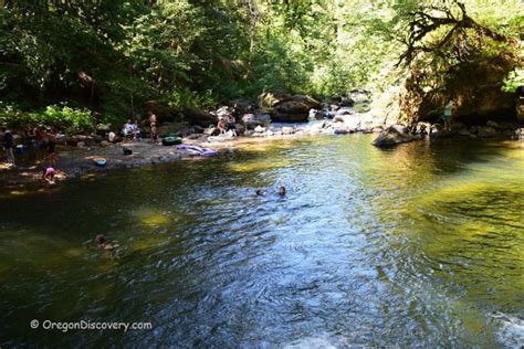 Cavitt Creek Falls Recreation Site Umpqua National Forest Oregon