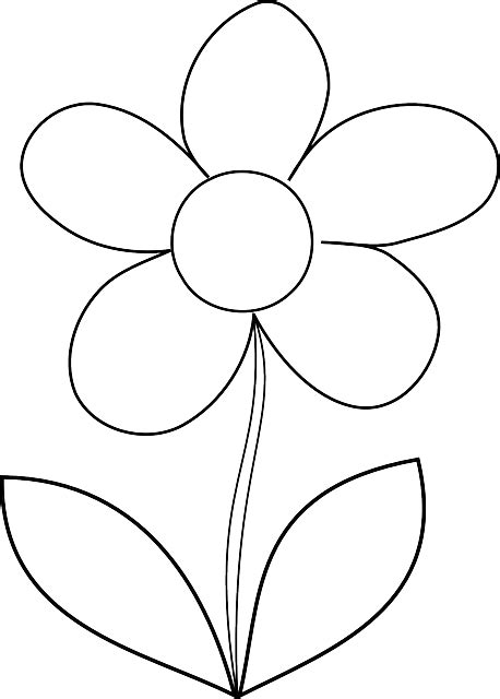 gambar bunga simple hitam putih