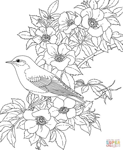 Eastern Bluebird And Rose New York State Bird And Flower Coloring Page