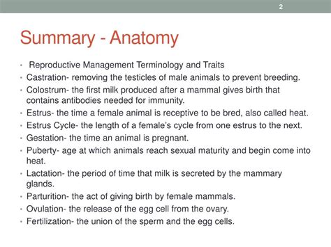 Ppt Reproductive Anatomy And Physiology Powerpoint Presentation Free