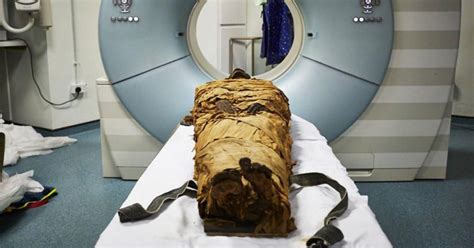 Scientists Just Made A 3000 Year Old Mummy Speak Gizmodo Australia