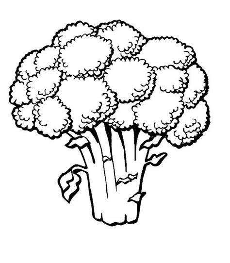 Coloring pages of vegetables fruits and veggies coloring pages. green vegetable coloring page | Vegetable coloring pages ...