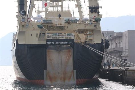 Nisshin Maru Vessels Lover のブログ
