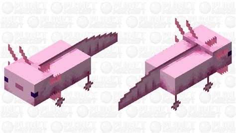 My Pink Axolotl In Minecraft Minecraft Mob Skin