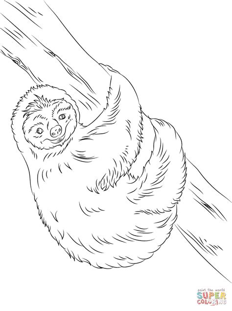 Cute Sloth Coloring Page Free Printable Coloring Pages