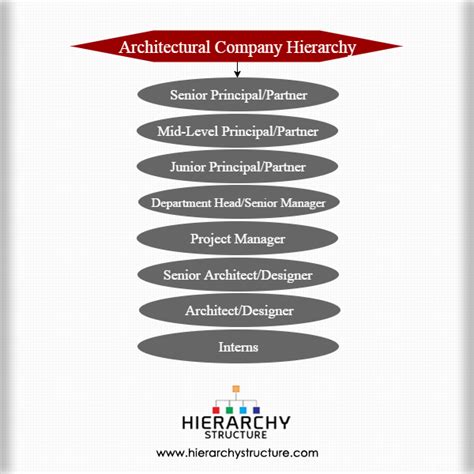 Architectural Company Hierarchy Chart Hierarchy Structure