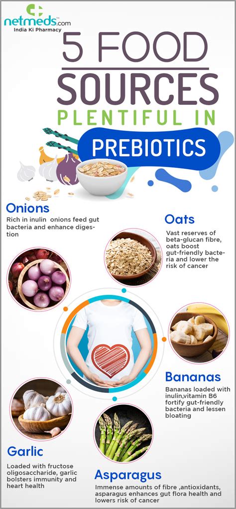 Prebiotics 5 Awesome Foods That Uphold Gut Health Infographic