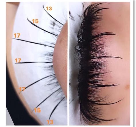 WISPY CAT EYE LASH MAP |Lashtraining | Lash artist |LashTechnician