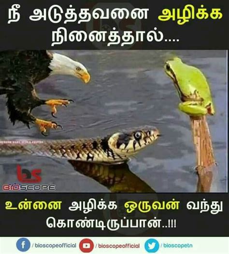 Pin by Siva Mg on Nice dp | Picture quotes, Photo quotes ...